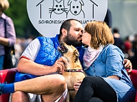 Warszawski Dzień Zwierząt 2019  Warszawa, 18 maja 2019 r. Multimedialny Park Fontann. Organizator - Schronisko dla Bezdomnych Zwierząt "Na Paluchu" : warszawski dzień zwierząt, park fontann, schronisko na paluchu