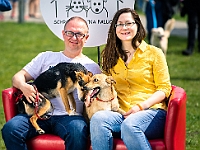 Warszawski Dzień Zwierząt 2019  Warszawa, 18 maja 2019 r. Multimedialny Park Fontann. Organizator - Schronisko dla Bezdomnych Zwierząt "Na Paluchu" : warszawski dzień zwierząt, park fontann, schronisko na paluchu