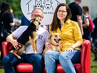 Warszawski Dzień Zwierząt 2019  Warszawa, 18 maja 2019 r. Multimedialny Park Fontann. Organizator - Schronisko dla Bezdomnych Zwierząt "Na Paluchu" : warszawski dzień zwierząt, park fontann, schronisko na paluchu