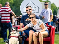 Warszawski Dzień Zwierząt 2019  Warszawa, 18 maja 2019 r. Multimedialny Park Fontann. Organizator - Schronisko dla Bezdomnych Zwierząt "Na Paluchu" : warszawski dzień zwierząt, park fontann, schronisko na paluchu