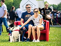 Warszawski Dzień Zwierząt 2019  Warszawa, 18 maja 2019 r. Multimedialny Park Fontann. Organizator - Schronisko dla Bezdomnych Zwierząt "Na Paluchu" : warszawski dzień zwierząt, park fontann, schronisko na paluchu