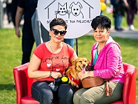 Warszawski Dzień Zwierząt 2019  Warszawa, 18 maja 2019 r. Multimedialny Park Fontann. Organizator - Schronisko dla Bezdomnych Zwierząt "Na Paluchu" : warszawski dzień zwierząt, park fontann, schronisko na paluchu