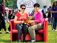 Warszawski Dzień Zwierząt 2019  Warszawa, 18 maja 2019 r. Multimedialny Park Fontann. Organizator - Schronisko dla Bezdomnych Zwierząt "Na Paluchu" : warszawski dzień zwierząt, park fontann, schronisko na paluchu