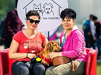 Warszawski Dzień Zwierząt 2019  Warszawa, 18 maja 2019 r. Multimedialny Park Fontann. Organizator - Schronisko dla Bezdomnych Zwierząt "Na Paluchu" : warszawski dzień zwierząt, park fontann, schronisko na paluchu