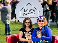 Warszawski Dzień Zwierząt 2019  Warszawa, 18 maja 2019 r. Multimedialny Park Fontann. Organizator - Schronisko dla Bezdomnych Zwierząt "Na Paluchu" : warszawski dzień zwierząt, park fontann, schronisko na paluchu
