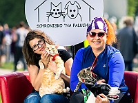 Warszawski Dzień Zwierząt 2019  Warszawa, 18 maja 2019 r. Multimedialny Park Fontann. Organizator - Schronisko dla Bezdomnych Zwierząt "Na Paluchu" : warszawski dzień zwierząt, park fontann, schronisko na paluchu