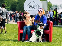 Warszawski Dzień Zwierząt 2019  Warszawa, 18 maja 2019 r. Multimedialny Park Fontann. Organizator - Schronisko dla Bezdomnych Zwierząt "Na Paluchu" : warszawski dzień zwierząt, park fontann, schronisko na paluchu