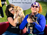 Warszawski Dzień Zwierząt 2019  Warszawa, 18 maja 2019 r. Multimedialny Park Fontann. Organizator - Schronisko dla Bezdomnych Zwierząt "Na Paluchu" : warszawski dzień zwierząt, park fontann, schronisko na paluchu