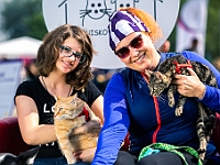Warszawski Dzień Zwierząt 2019  Warszawa, 18 maja 2019 r. Multimedialny Park Fontann. Organizator - Schronisko dla Bezdomnych Zwierząt "Na Paluchu" : warszawski dzień zwierząt, park fontann, schronisko na paluchu