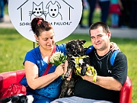 Warszawski Dzień Zwierząt 2019  Warszawa, 18 maja 2019 r. Multimedialny Park Fontann. Organizator - Schronisko dla Bezdomnych Zwierząt "Na Paluchu" : warszawski dzień zwierząt, park fontann, schronisko na paluchu