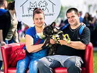 Warszawski Dzień Zwierząt 2019  Warszawa, 18 maja 2019 r. Multimedialny Park Fontann. Organizator - Schronisko dla Bezdomnych Zwierząt "Na Paluchu" : warszawski dzień zwierząt, park fontann, schronisko na paluchu