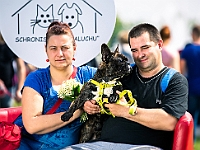 Warszawski Dzień Zwierząt 2019  Warszawa, 18 maja 2019 r. Multimedialny Park Fontann. Organizator - Schronisko dla Bezdomnych Zwierząt "Na Paluchu" : warszawski dzień zwierząt, park fontann, schronisko na paluchu