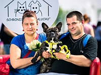 Warszawski Dzień Zwierząt 2019  Warszawa, 18 maja 2019 r. Multimedialny Park Fontann. Organizator - Schronisko dla Bezdomnych Zwierząt "Na Paluchu" : warszawski dzień zwierząt, park fontann, schronisko na paluchu