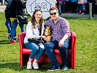 Warszawski Dzień Zwierząt 2019  Warszawa, 18 maja 2019 r. Multimedialny Park Fontann. Organizator - Schronisko dla Bezdomnych Zwierząt "Na Paluchu" : warszawski dzień zwierząt, park fontann, schronisko na paluchu