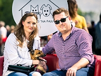 Warszawski Dzień Zwierząt 2019  Warszawa, 18 maja 2019 r. Multimedialny Park Fontann. Organizator - Schronisko dla Bezdomnych Zwierząt "Na Paluchu" : warszawski dzień zwierząt, park fontann, schronisko na paluchu