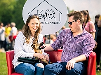 Warszawski Dzień Zwierząt 2019  Warszawa, 18 maja 2019 r. Multimedialny Park Fontann. Organizator - Schronisko dla Bezdomnych Zwierząt "Na Paluchu" : warszawski dzień zwierząt, park fontann, schronisko na paluchu