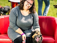 Warszawski Dzień Zwierząt 2019  Warszawa, 18 maja 2019 r. Multimedialny Park Fontann. Organizator - Schronisko dla Bezdomnych Zwierząt "Na Paluchu" : warszawski dzień zwierząt, park fontann, schronisko na paluchu