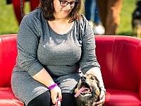 Warszawski Dzień Zwierząt 2019  Warszawa, 18 maja 2019 r. Multimedialny Park Fontann. Organizator - Schronisko dla Bezdomnych Zwierząt "Na Paluchu" : warszawski dzień zwierząt, park fontann, schronisko na paluchu