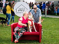 Warszawski Dzień Zwierząt 2019  Warszawa, 18 maja 2019 r. Multimedialny Park Fontann. Organizator - Schronisko dla Bezdomnych Zwierząt "Na Paluchu" : warszawski dzień zwierząt, park fontann, schronisko na paluchu
