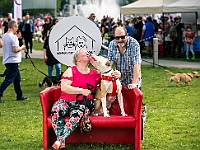 Warszawski Dzień Zwierząt 2019  Warszawa, 18 maja 2019 r. Multimedialny Park Fontann. Organizator - Schronisko dla Bezdomnych Zwierząt "Na Paluchu" : warszawski dzień zwierząt, park fontann, schronisko na paluchu