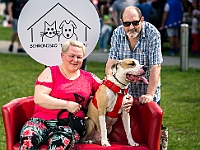 Warszawski Dzień Zwierząt 2019  Warszawa, 18 maja 2019 r. Multimedialny Park Fontann. Organizator - Schronisko dla Bezdomnych Zwierząt "Na Paluchu" : warszawski dzień zwierząt, park fontann, schronisko na paluchu