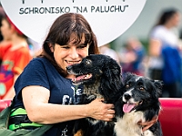 Warszawski Dzień Zwierząt 2019  Warszawa, 18 maja 2019 r. Multimedialny Park Fontann. Organizator - Schronisko dla Bezdomnych Zwierząt "Na Paluchu" : warszawski dzień zwierząt, park fontann, schronisko na paluchu