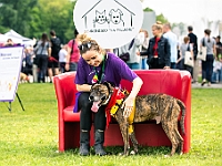 Warszawski Dzień Zwierząt 2019  Warszawa, 18 maja 2019 r. Multimedialny Park Fontann. Organizator - Schronisko dla Bezdomnych Zwierząt "Na Paluchu" : warszawski dzień zwierząt, park fontann, schronisko na paluchu