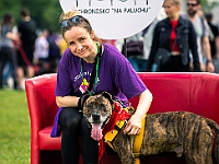 Warszawski Dzień Zwierząt 2019  Warszawa, 18 maja 2019 r. Multimedialny Park Fontann. Organizator - Schronisko dla Bezdomnych Zwierząt "Na Paluchu" : warszawski dzień zwierząt, park fontann, schronisko na paluchu