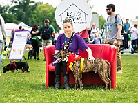 Warszawski Dzień Zwierząt 2019  Warszawa, 18 maja 2019 r. Multimedialny Park Fontann. Organizator - Schronisko dla Bezdomnych Zwierząt "Na Paluchu" : warszawski dzień zwierząt, park fontann, schronisko na paluchu
