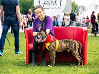 Warszawski Dzień Zwierząt 2019  Warszawa, 18 maja 2019 r. Multimedialny Park Fontann. Organizator - Schronisko dla Bezdomnych Zwierząt "Na Paluchu" : warszawski dzień zwierząt, park fontann, schronisko na paluchu