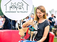 Warszawski Dzień Zwierząt 2019  Warszawa, 18 maja 2019 r. Multimedialny Park Fontann. Organizator - Schronisko dla Bezdomnych Zwierząt "Na Paluchu" : warszawski dzień zwierząt, park fontann, schronisko na paluchu