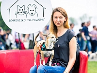 Warszawski Dzień Zwierząt 2019  Warszawa, 18 maja 2019 r. Multimedialny Park Fontann. Organizator - Schronisko dla Bezdomnych Zwierząt "Na Paluchu" : warszawski dzień zwierząt, park fontann, schronisko na paluchu