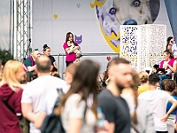 Warszawski Dzień Zwierząt 2019  Warszawa, 18 maja 2019 r. Multimedialny Park Fontann. Organizator - Schronisko dla Bezdomnych Zwierząt "Na Paluchu" : warszawski dzień zwierząt, park fontann, schronisko na paluchu