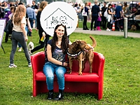 Warszawski Dzień Zwierząt 2019  Warszawa, 18 maja 2019 r. Multimedialny Park Fontann. Organizator - Schronisko dla Bezdomnych Zwierząt "Na Paluchu" : warszawski dzień zwierząt, park fontann, schronisko na paluchu