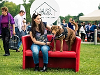 Warszawski Dzień Zwierząt 2019  Warszawa, 18 maja 2019 r. Multimedialny Park Fontann. Organizator - Schronisko dla Bezdomnych Zwierząt "Na Paluchu" : warszawski dzień zwierząt, park fontann, schronisko na paluchu