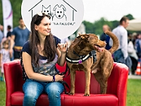 Warszawski Dzień Zwierząt 2019  Warszawa, 18 maja 2019 r. Multimedialny Park Fontann. Organizator - Schronisko dla Bezdomnych Zwierząt "Na Paluchu" : warszawski dzień zwierząt, park fontann, schronisko na paluchu