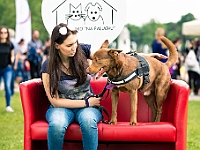 Warszawski Dzień Zwierząt 2019  Warszawa, 18 maja 2019 r. Multimedialny Park Fontann. Organizator - Schronisko dla Bezdomnych Zwierząt "Na Paluchu" : warszawski dzień zwierząt, park fontann, schronisko na paluchu