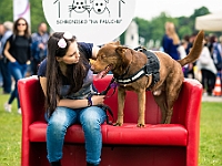 Warszawski Dzień Zwierząt 2019  Warszawa, 18 maja 2019 r. Multimedialny Park Fontann. Organizator - Schronisko dla Bezdomnych Zwierząt "Na Paluchu" : warszawski dzień zwierząt, park fontann, schronisko na paluchu
