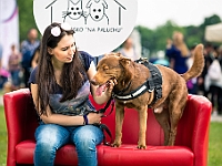 Warszawski Dzień Zwierząt 2019  Warszawa, 18 maja 2019 r. Multimedialny Park Fontann. Organizator - Schronisko dla Bezdomnych Zwierząt "Na Paluchu" : warszawski dzień zwierząt, park fontann, schronisko na paluchu