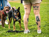 Warszawski Dzień Zwierząt 2019  Warszawa, 18 maja 2019 r. Multimedialny Park Fontann. Organizator - Schronisko dla Bezdomnych Zwierząt "Na Paluchu" : warszawski dzień zwierząt, park fontann, schronisko na paluchu