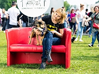 Warszawski Dzień Zwierząt 2019  Warszawa, 18 maja 2019 r. Multimedialny Park Fontann. Organizator - Schronisko dla Bezdomnych Zwierząt "Na Paluchu" : warszawski dzień zwierząt, park fontann, schronisko na paluchu