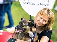 Warszawski Dzień Zwierząt 2019  Warszawa, 18 maja 2019 r. Multimedialny Park Fontann. Organizator - Schronisko dla Bezdomnych Zwierząt "Na Paluchu" : warszawski dzień zwierząt, park fontann, schronisko na paluchu