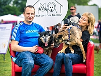 Warszawski Dzień Zwierząt 2019  Warszawa, 18 maja 2019 r. Multimedialny Park Fontann. Organizator - Schronisko dla Bezdomnych Zwierząt "Na Paluchu" : warszawski dzień zwierząt, park fontann, schronisko na paluchu