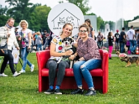 Warszawski Dzień Zwierząt 2019  Warszawa, 18 maja 2019 r. Multimedialny Park Fontann. Organizator - Schronisko dla Bezdomnych Zwierząt "Na Paluchu" : warszawski dzień zwierząt, park fontann, schronisko na paluchu
