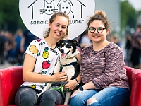 Warszawski Dzień Zwierząt 2019  Warszawa, 18 maja 2019 r. Multimedialny Park Fontann. Organizator - Schronisko dla Bezdomnych Zwierząt "Na Paluchu" : warszawski dzień zwierząt, park fontann, schronisko na paluchu