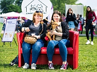 Warszawski Dzień Zwierząt 2019  Warszawa, 18 maja 2019 r. Multimedialny Park Fontann. Organizator - Schronisko dla Bezdomnych Zwierząt "Na Paluchu" : warszawski dzień zwierząt, park fontann, schronisko na paluchu