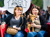 Warszawski Dzień Zwierząt 2019  Warszawa, 18 maja 2019 r. Multimedialny Park Fontann. Organizator - Schronisko dla Bezdomnych Zwierząt "Na Paluchu" : warszawski dzień zwierząt, park fontann, schronisko na paluchu