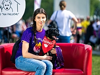 Warszawski Dzień Zwierząt 2019  Warszawa, 18 maja 2019 r. Multimedialny Park Fontann. Organizator - Schronisko dla Bezdomnych Zwierząt "Na Paluchu" : warszawski dzień zwierząt, park fontann, schronisko na paluchu