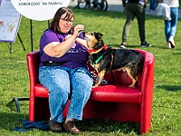 Warszawski Dzień Zwierząt 2019  Warszawa, 18 maja 2019 r. Multimedialny Park Fontann. Organizator - Schronisko dla Bezdomnych Zwierząt "Na Paluchu" : warszawski dzień zwierząt, park fontann, schronisko na paluchu