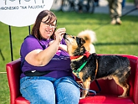 Warszawski Dzień Zwierząt 2019  Warszawa, 18 maja 2019 r. Multimedialny Park Fontann. Organizator - Schronisko dla Bezdomnych Zwierząt "Na Paluchu" : warszawski dzień zwierząt, park fontann, schronisko na paluchu